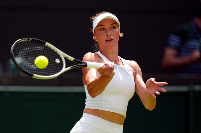 介绍辛鑫的 介绍辛鑫的