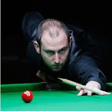 古德温25 古德温25